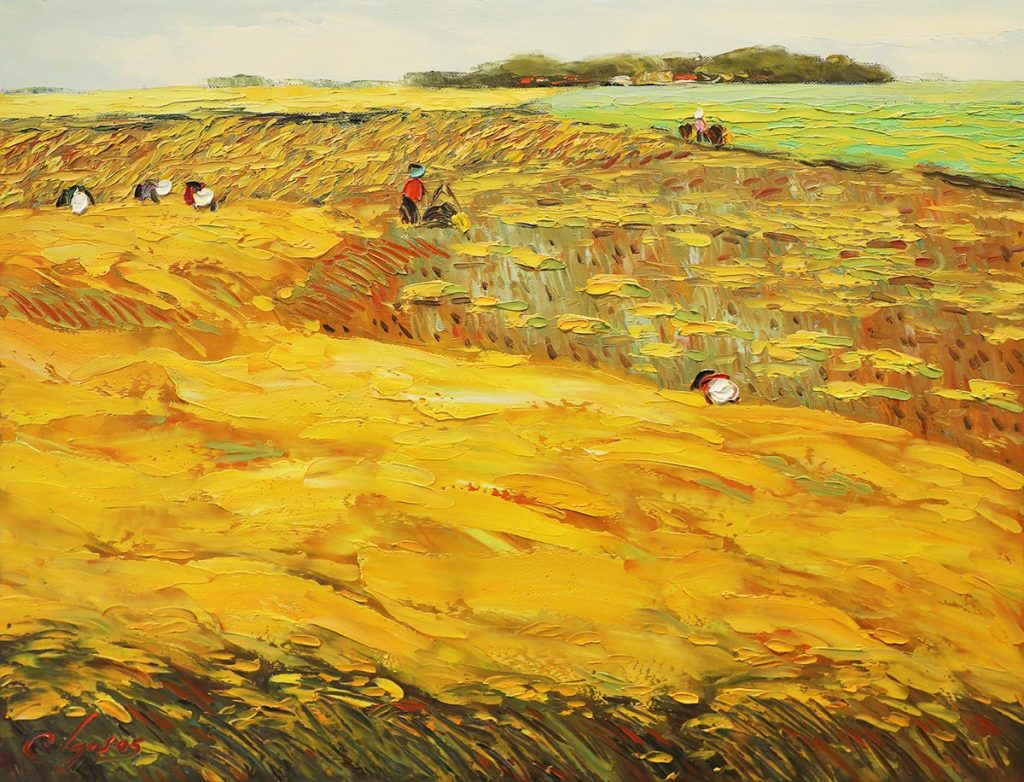 Harvest VII - Dang Dinh Ngo