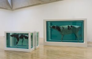 Mother and Child (Divided) (1993) _ Kiệt tác nghệ thuật _ Damien Hirst