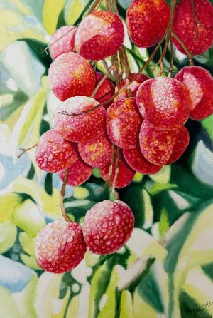 Vải - Tranh Màu Nước Nghệ Thuật Của Hoạ Sĩ Thanh Hà