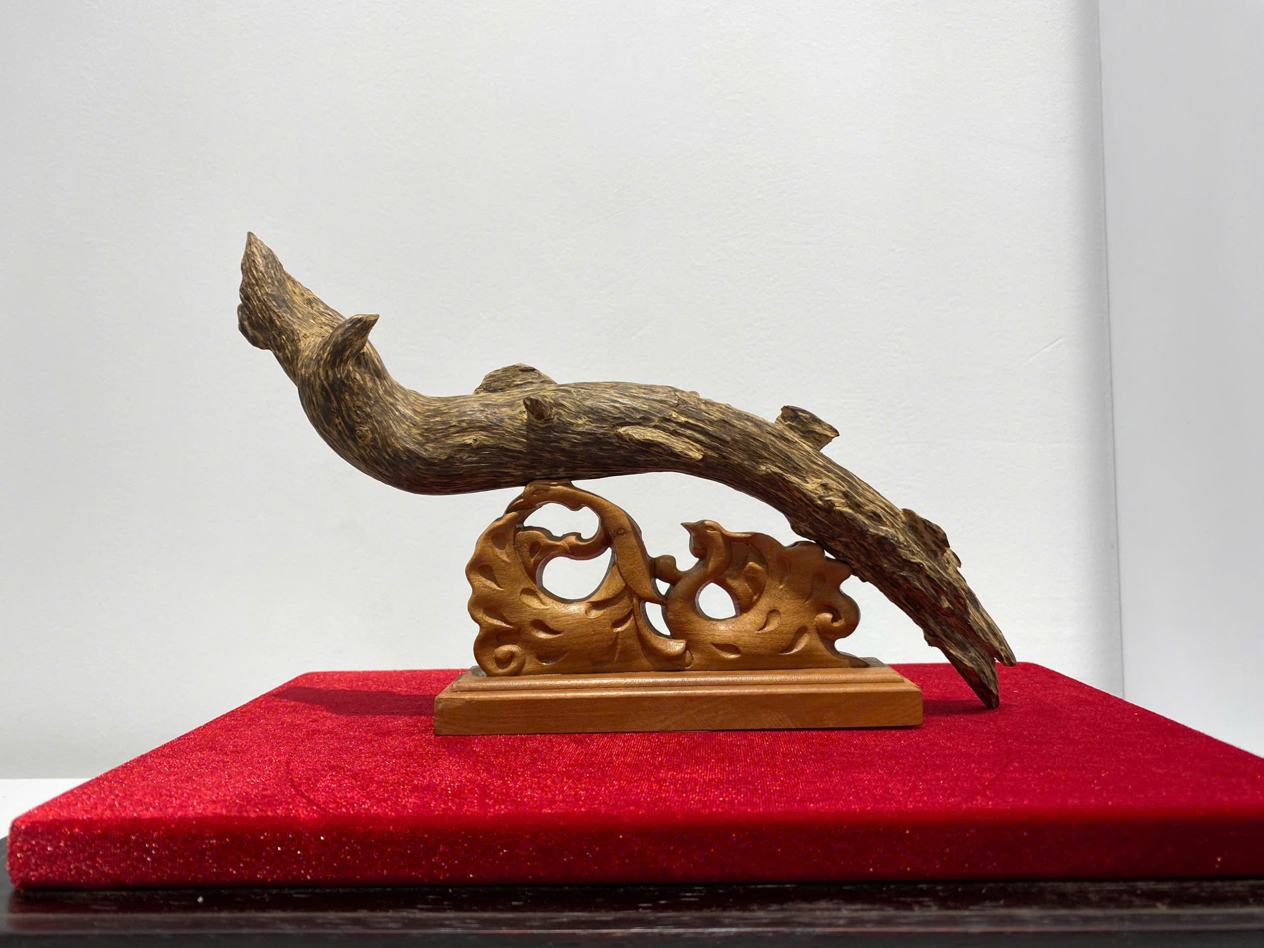 Vong Nguyet scaled
