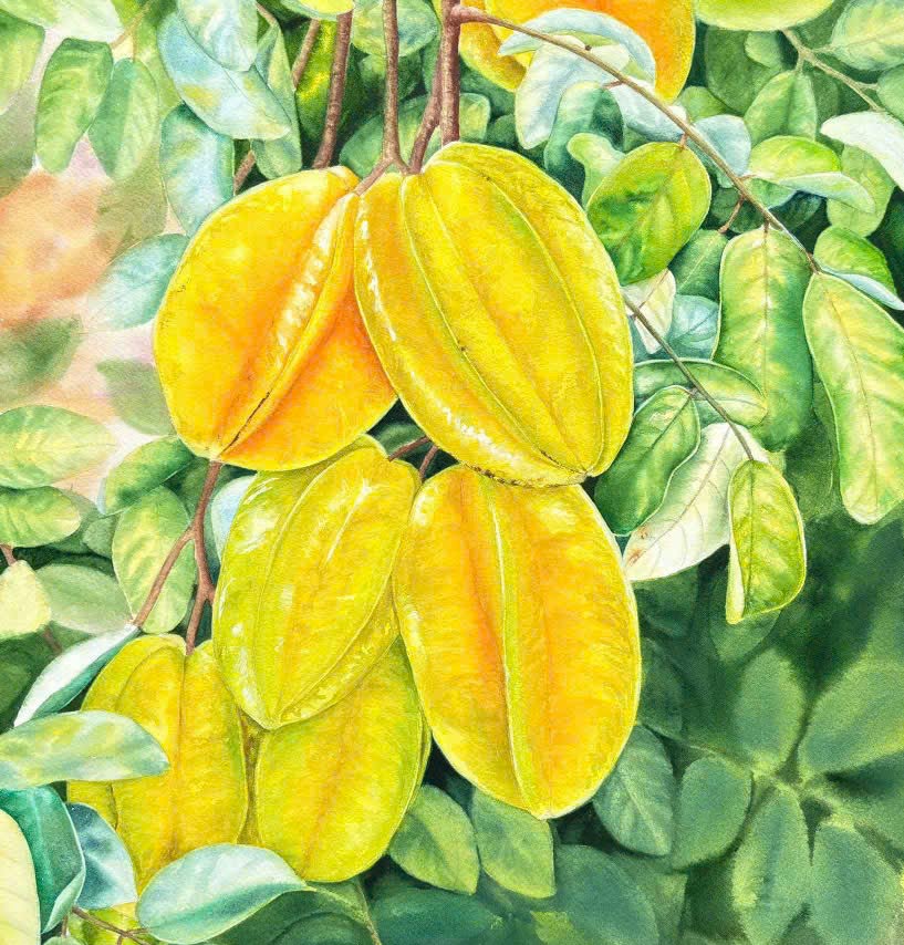 anh ngu liem tu