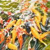 Cá và Nước - Tranh màu nước hoạ sĩ Nguyễn Đình Lâm